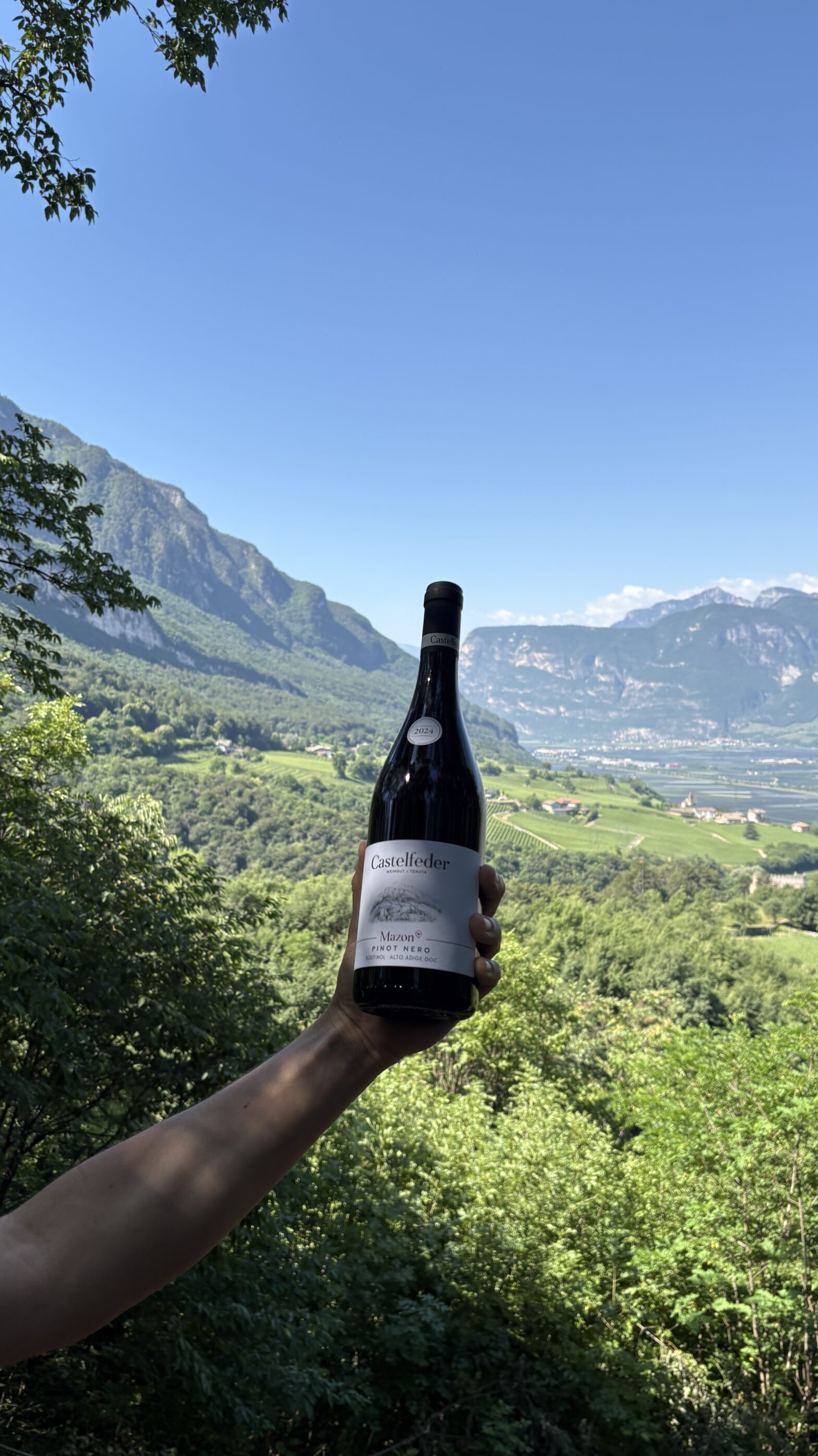 Pinot Nero Mazon - Lagenweine UGA 2024